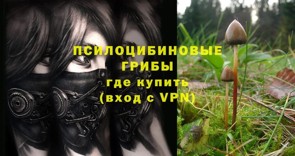 прущие крисы Гусиноозёрск