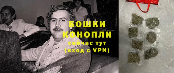 тгк Дмитров