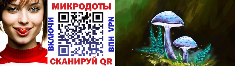 Псилоцибиновые грибы Psilocybine cubensis  Купить где  Кольчугино 